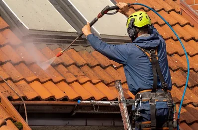 Démoussage et hydrofuge de toiture à Cerelles